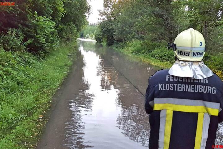 FF Klosterneuburg: Menschenrettung aus Hochwasser