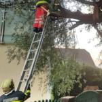 FF Judendorf-Straßengel