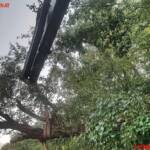 BFVGU A6: Wieder Unwetter im Raum Gratwein-Straßengel