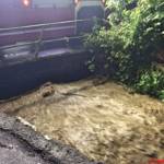 FF Steinberg-Rohrbach, Steiner