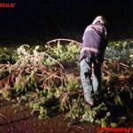 FF Steinberg-Rohrbach, Steiner