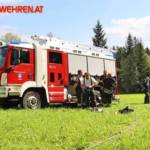 FF Vorau