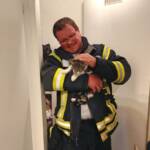 FF Weistrach: Tierrettung im Wohnblock 2 FF Weistrach