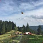 Forstunfall in Glashütten