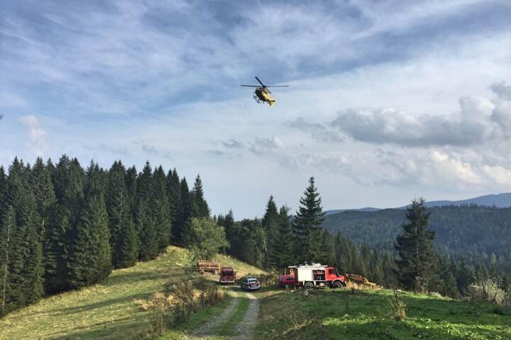 Forstunfall in Glashütten