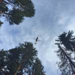 LM d.V. Hannes Mörth