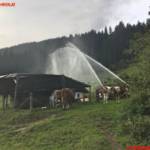 FF Bad Ischl / FW Perneck