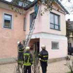 Wespennest oberhalb des Fensters eines Allergikers