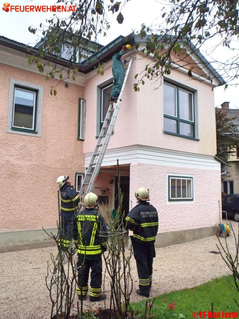 Wespennest oberhalb des Fensters eines Allergikers