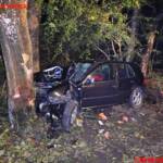 BF Wien: PKW prallte gegen Baum