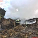 BFVDL, BI d.V. Thomas Stopper