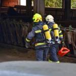 BFVDL, LM d.V. Hannes Mörth