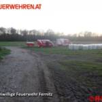 FF Fernitz
