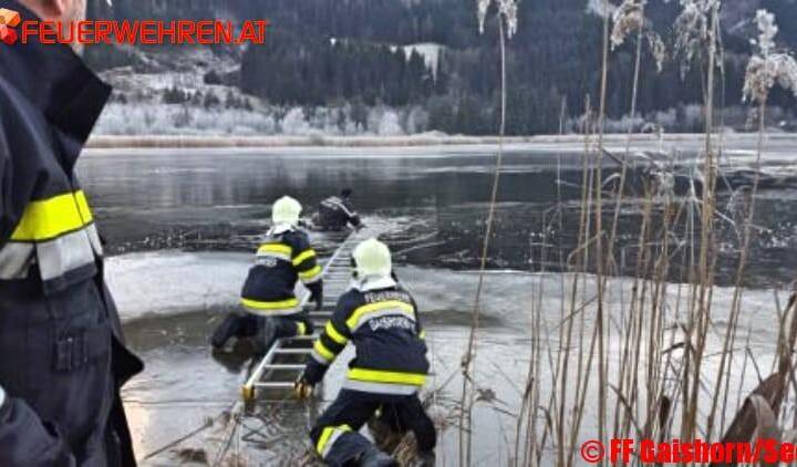 Tierrettung am Gaishorner See