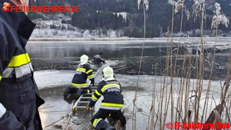 Tierrettung am Gaishorner See