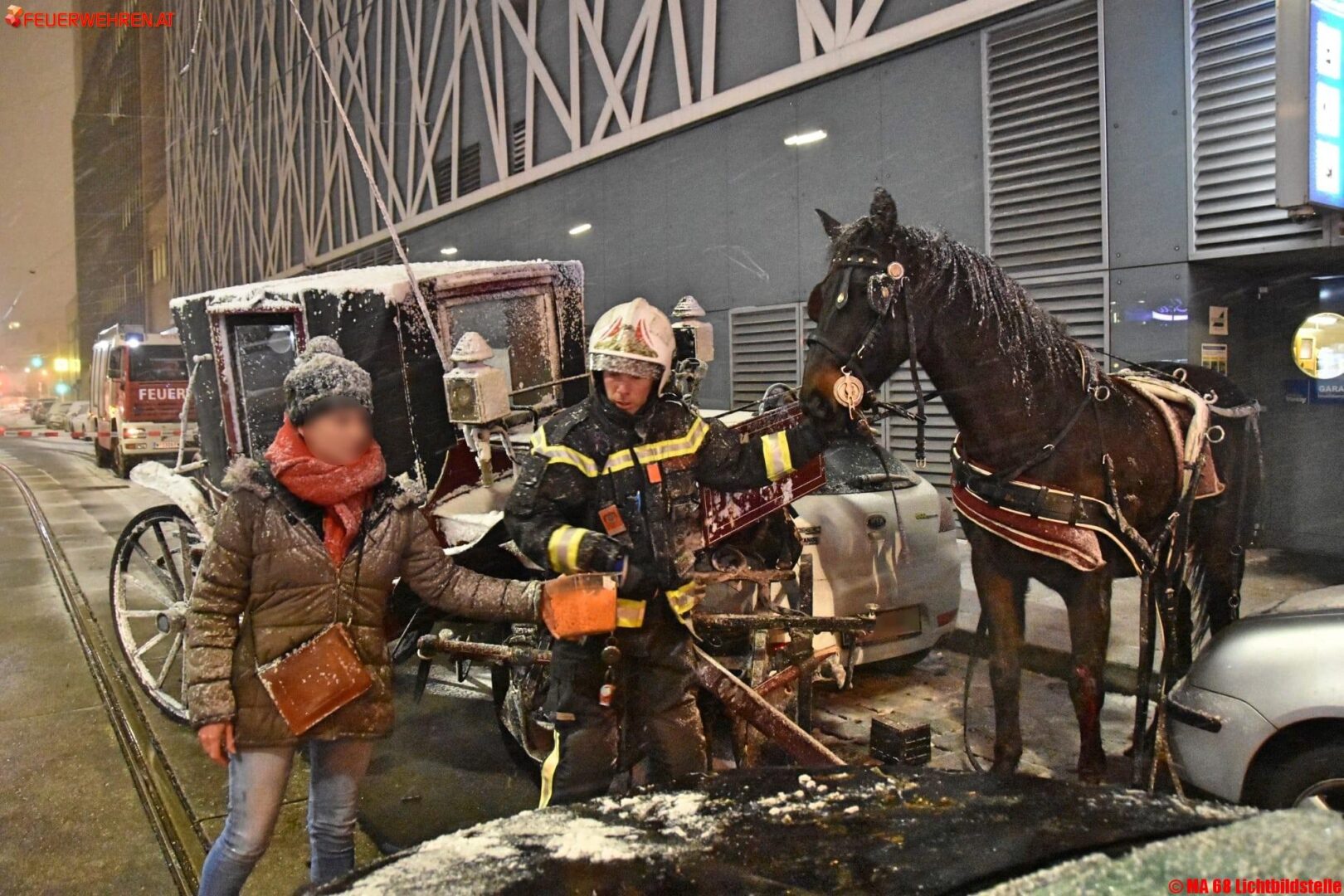 BF Wien: Kutscher und Pferd bei Verkehrsunfall verletzt
