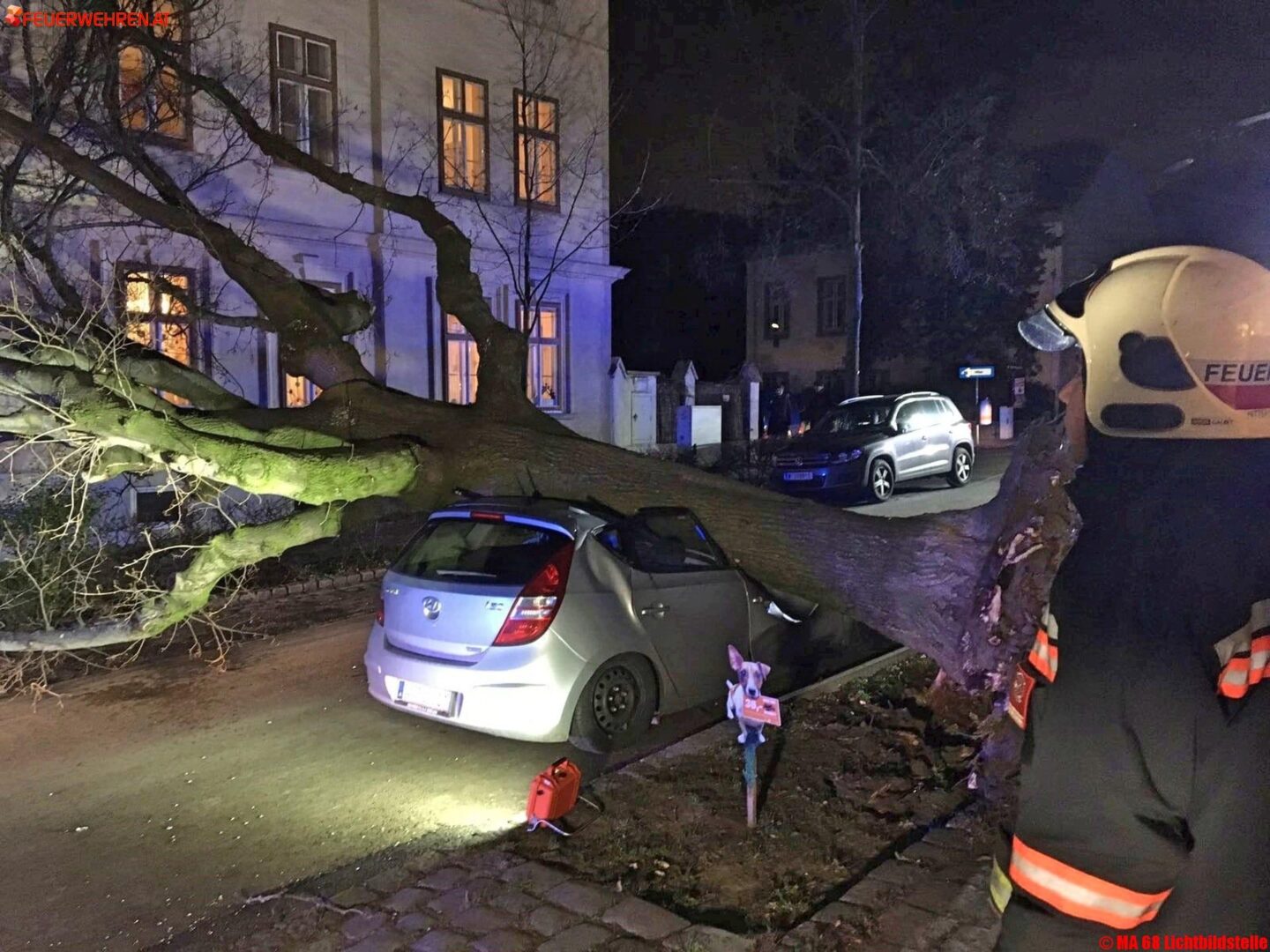 BF Wien: Baumbergung im Stadtgebiet