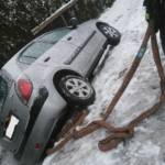 Feuerwehren BFVGU Abschnitt 6