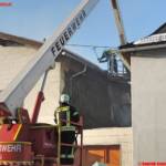 Dominik Krenn - AFKDO Gmünd