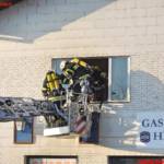 Dominik Krenn - AFKDO Gmünd