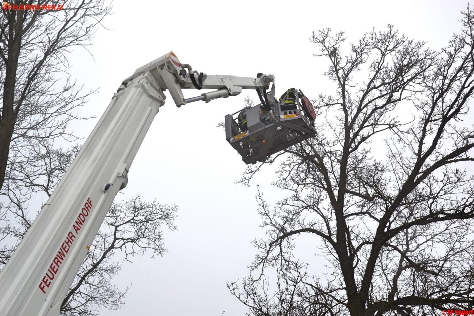 FF Andorf: Katze aus Baum in großen Höhen gerettet