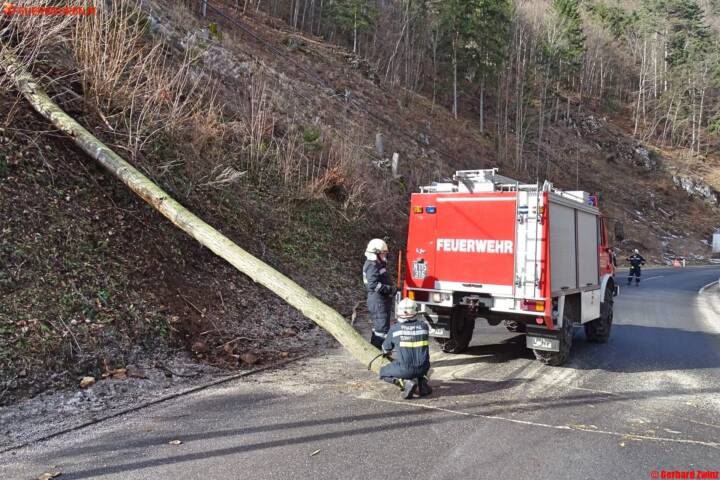 FF Ternitz: Baum blockierte die B26