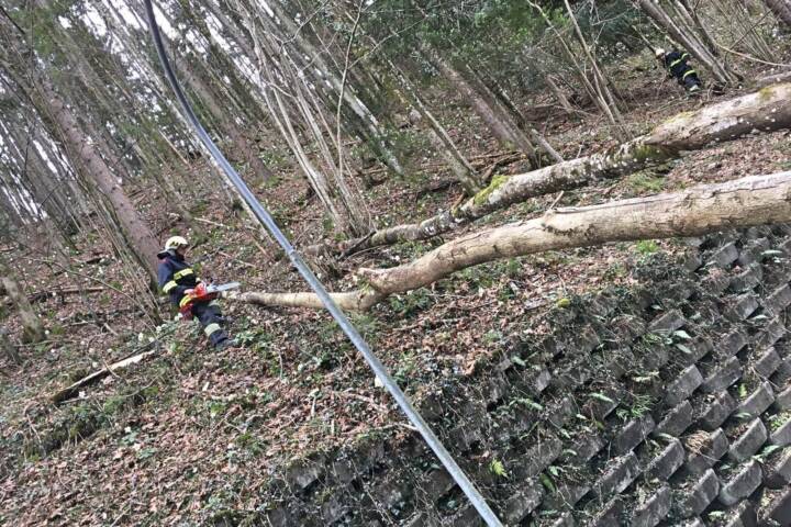 FF Bad Ischl: Sturmschaden – Baum über Straße