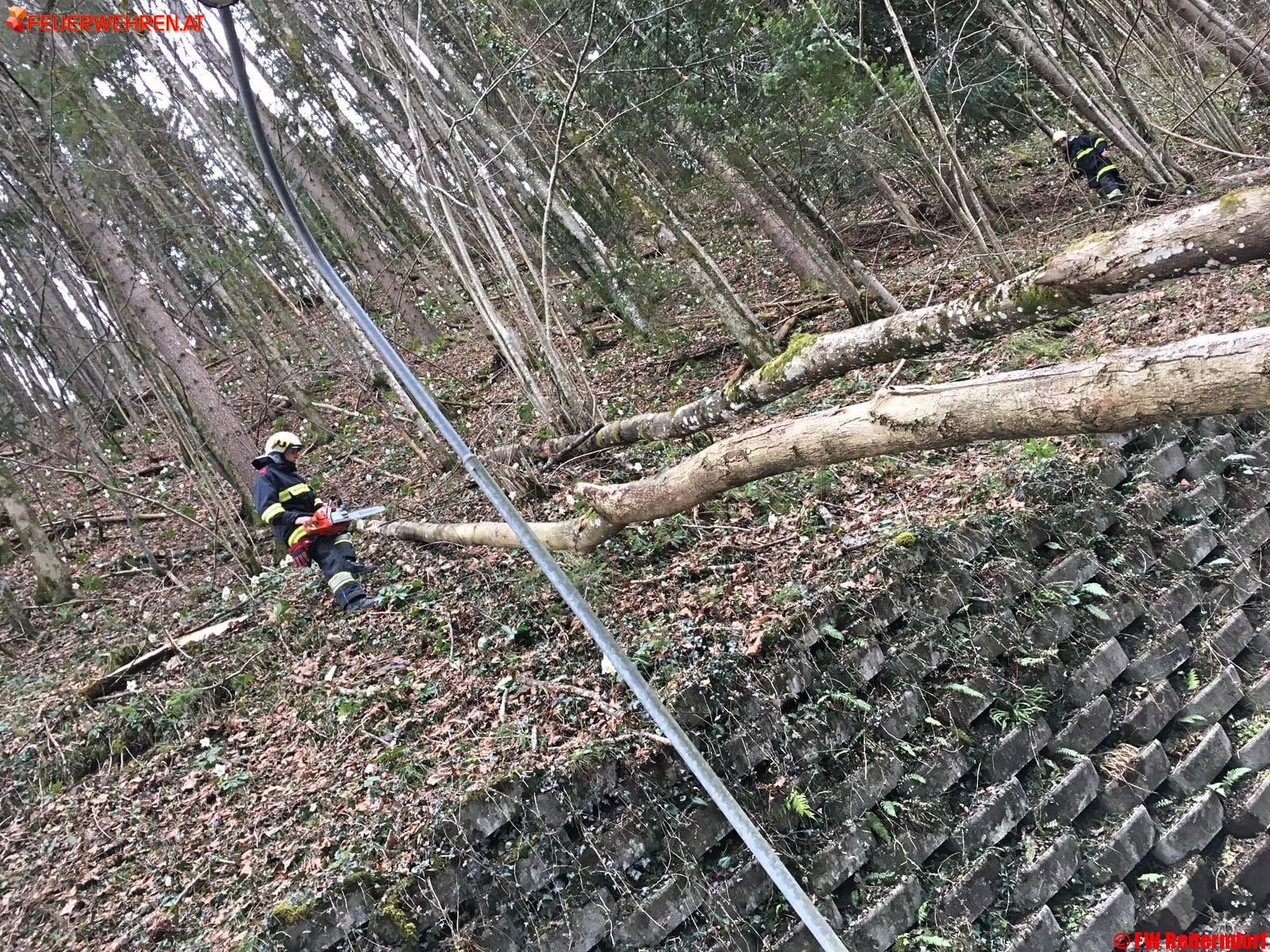 FF Bad Ischl: Sturmschaden – Baum über Straße
