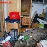 FF Trumau: Defekt einer Sauna führt zu Kellerbrand 5