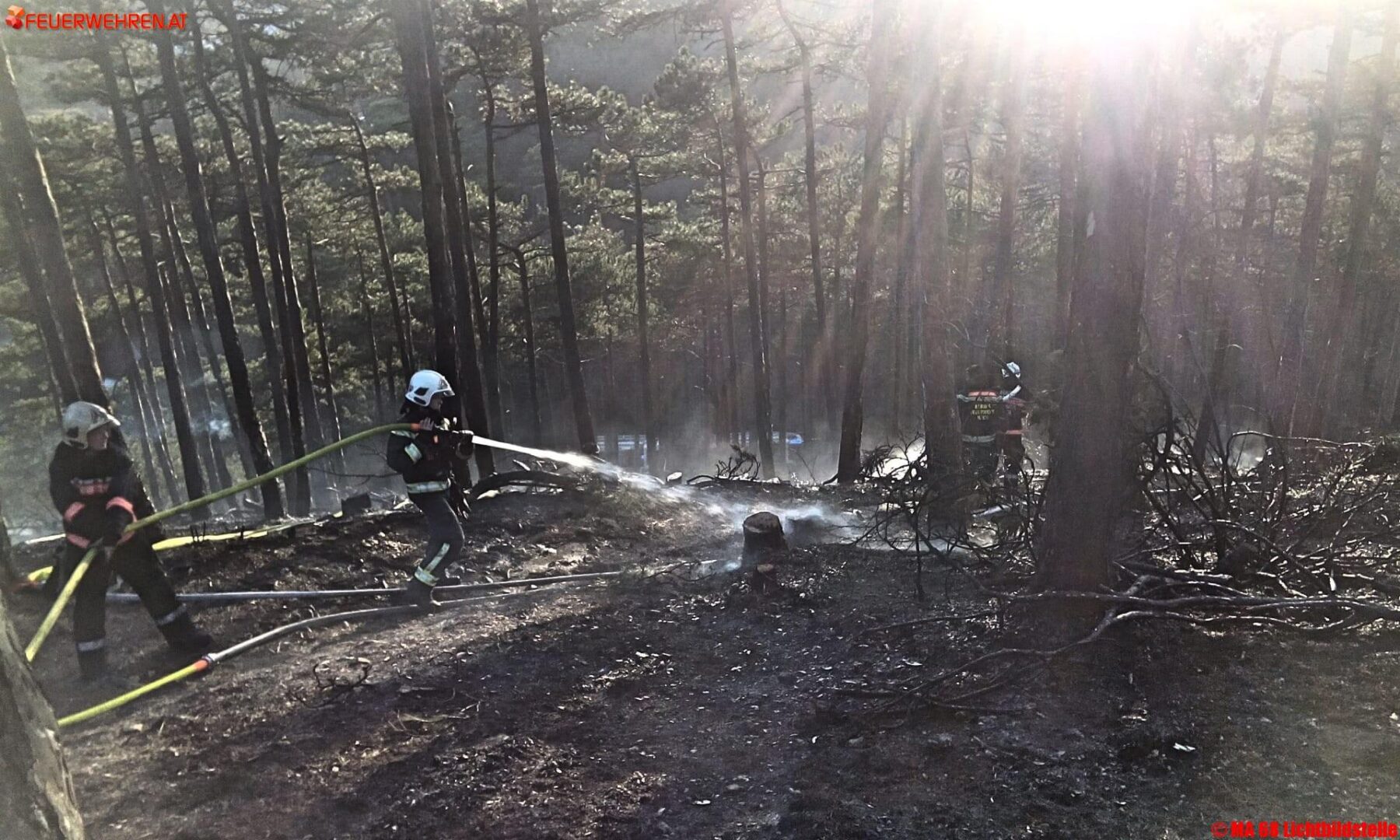 BF Wien: Waldbrand in Wien-Liesing