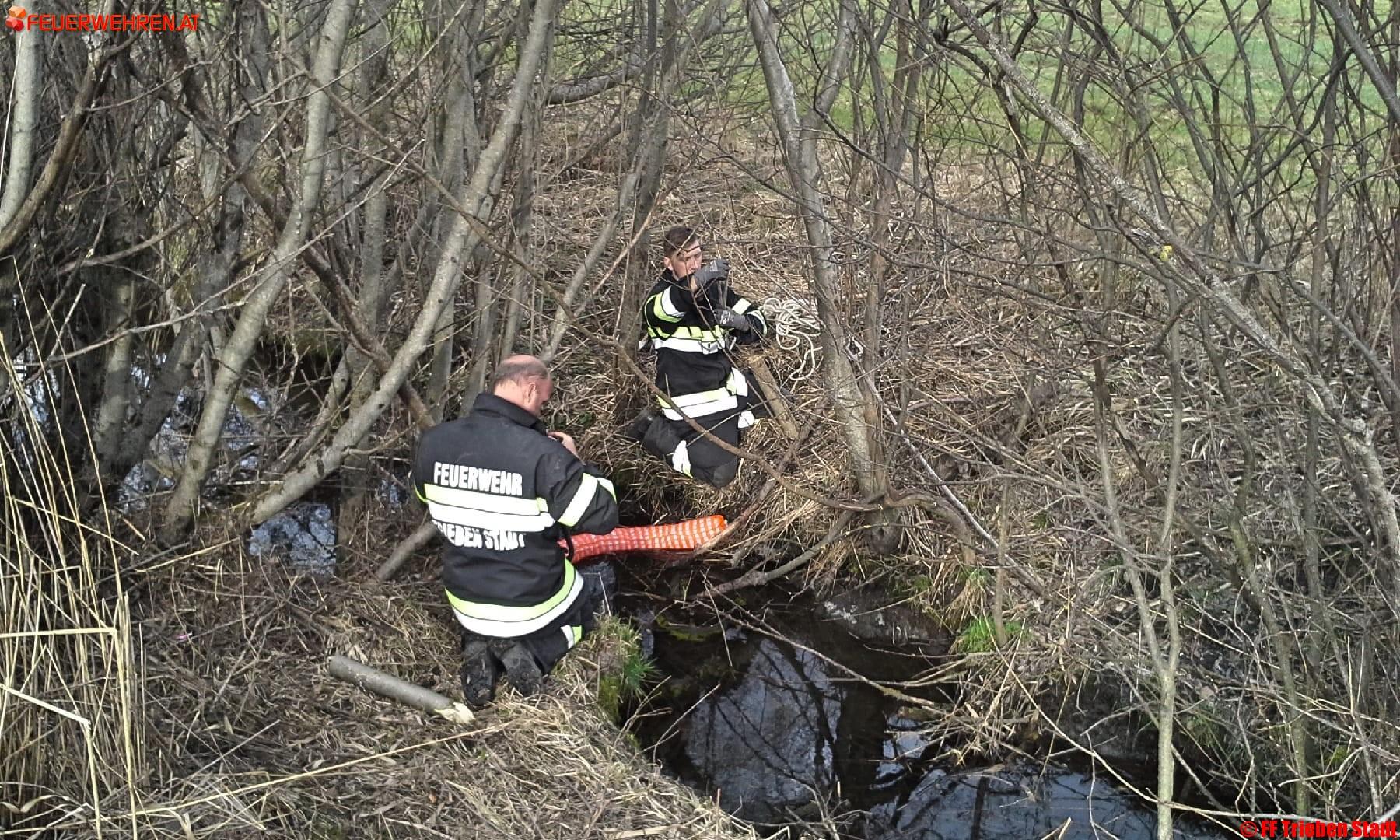 BFV Liezen A06: Langwieriger Schadstoffeinsatz