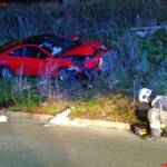 BF Wien: Pkw prallt gegen Baumstumpf – ein Schwerverletzter