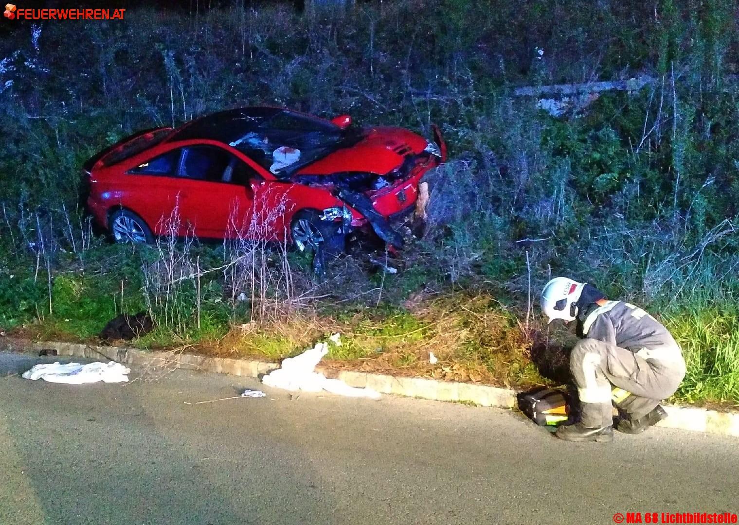 BF Wien: Pkw prallt gegen Baumstumpf – ein Schwerverletzter