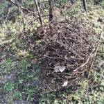 FF St. Lorenzen im Paltental