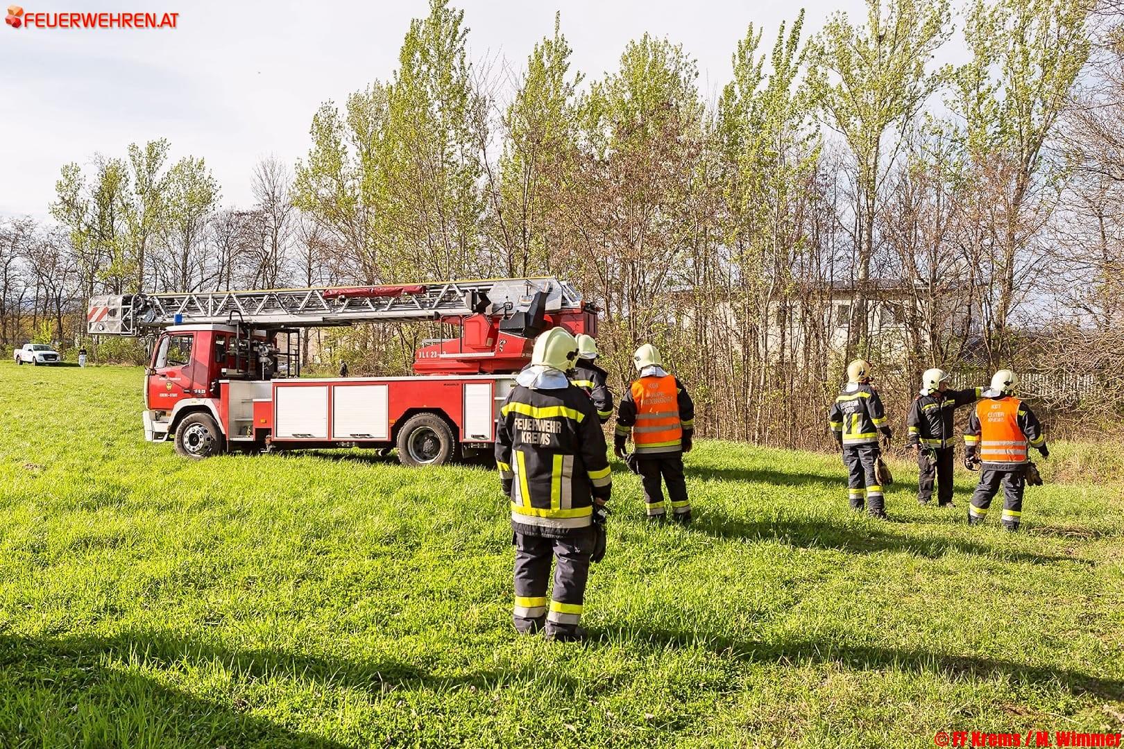 FF Krems: Fallschirmspringer aus Baum gerettet