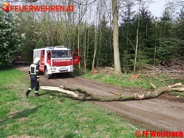 FF Weistrach: LKW riss mit Kippmulde großen Ast ein