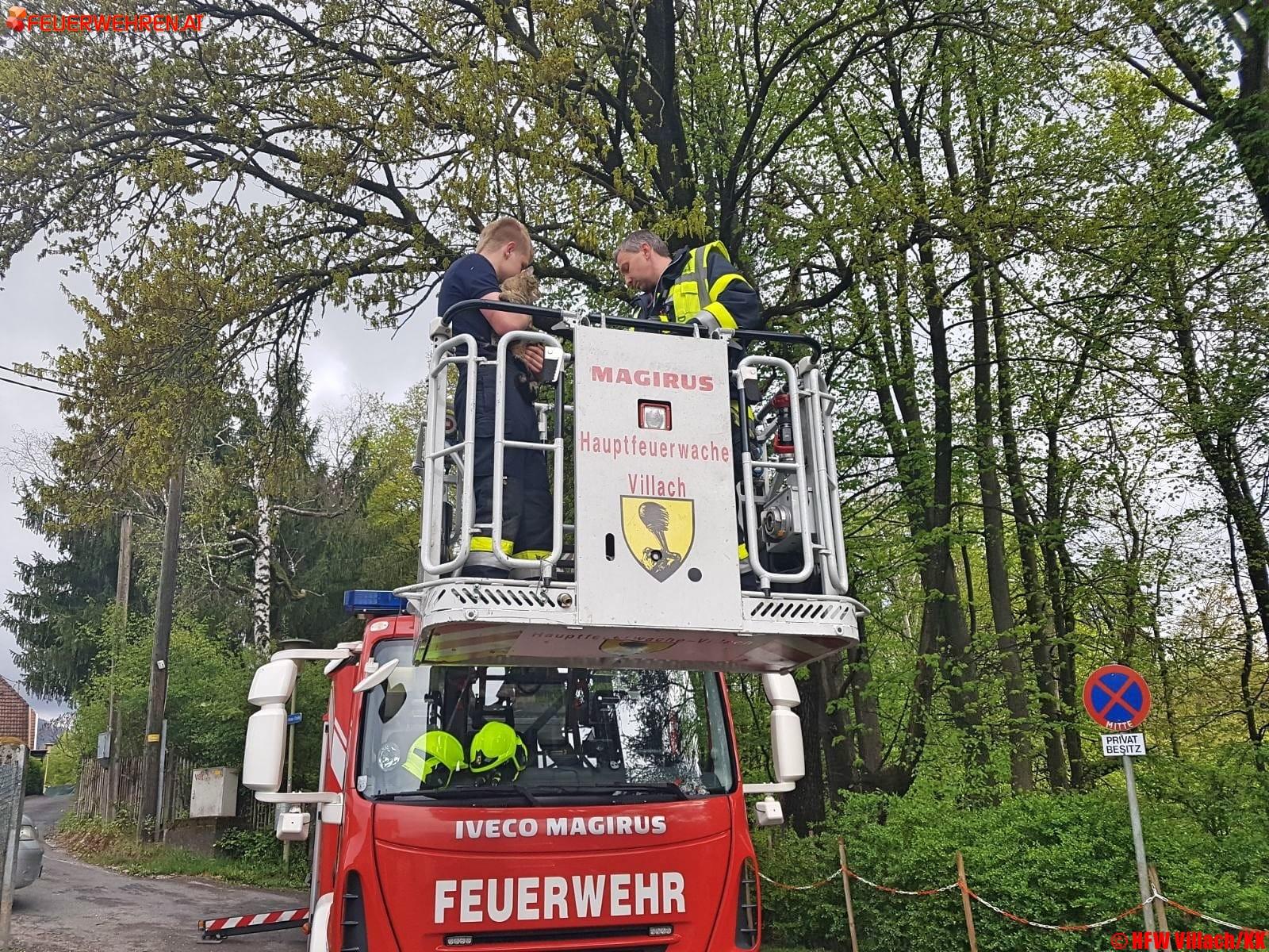 HFW Villach: Tierische Rettungsaktion