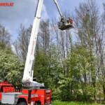 FF Andorf: Tierrettung im Ortschaftsbereich Getzing
