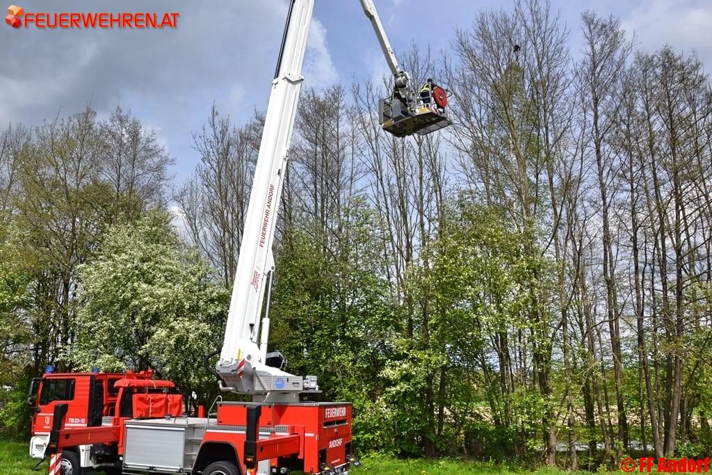 FF Andorf: Tierrettung im Ortschaftsbereich Getzing