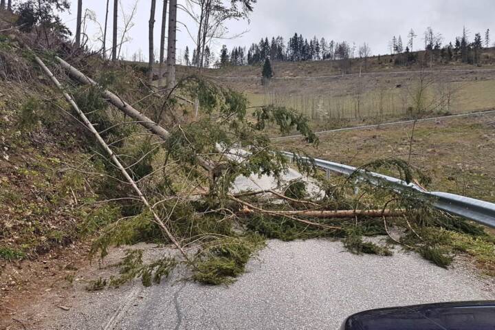 BFVGU A6: Wieder mehrere Einsätze durch Sturm