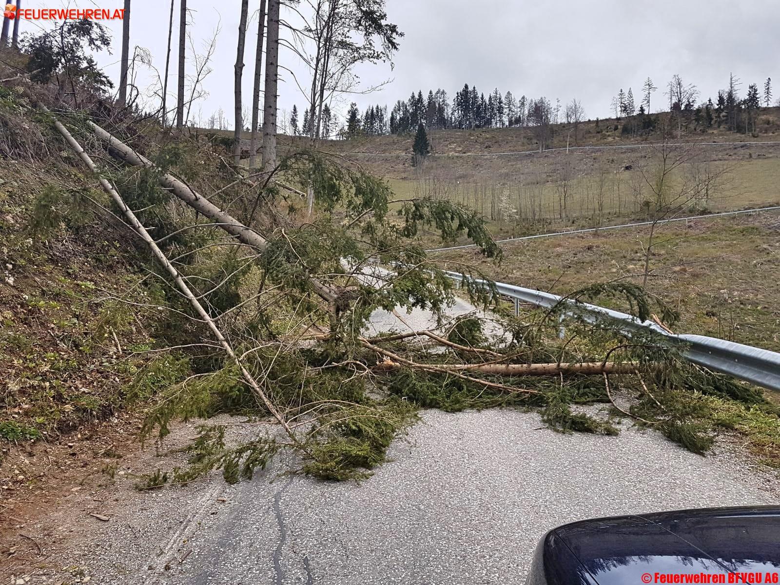 BFVGU A6: Wieder mehrere Einsätze durch Sturm