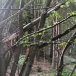 Feuerwehren BFVGU A6