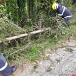 Feuerwehren BFVGU A6