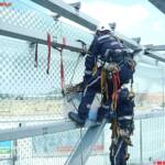 BF Wien: Höhenretter bergen Krähennest