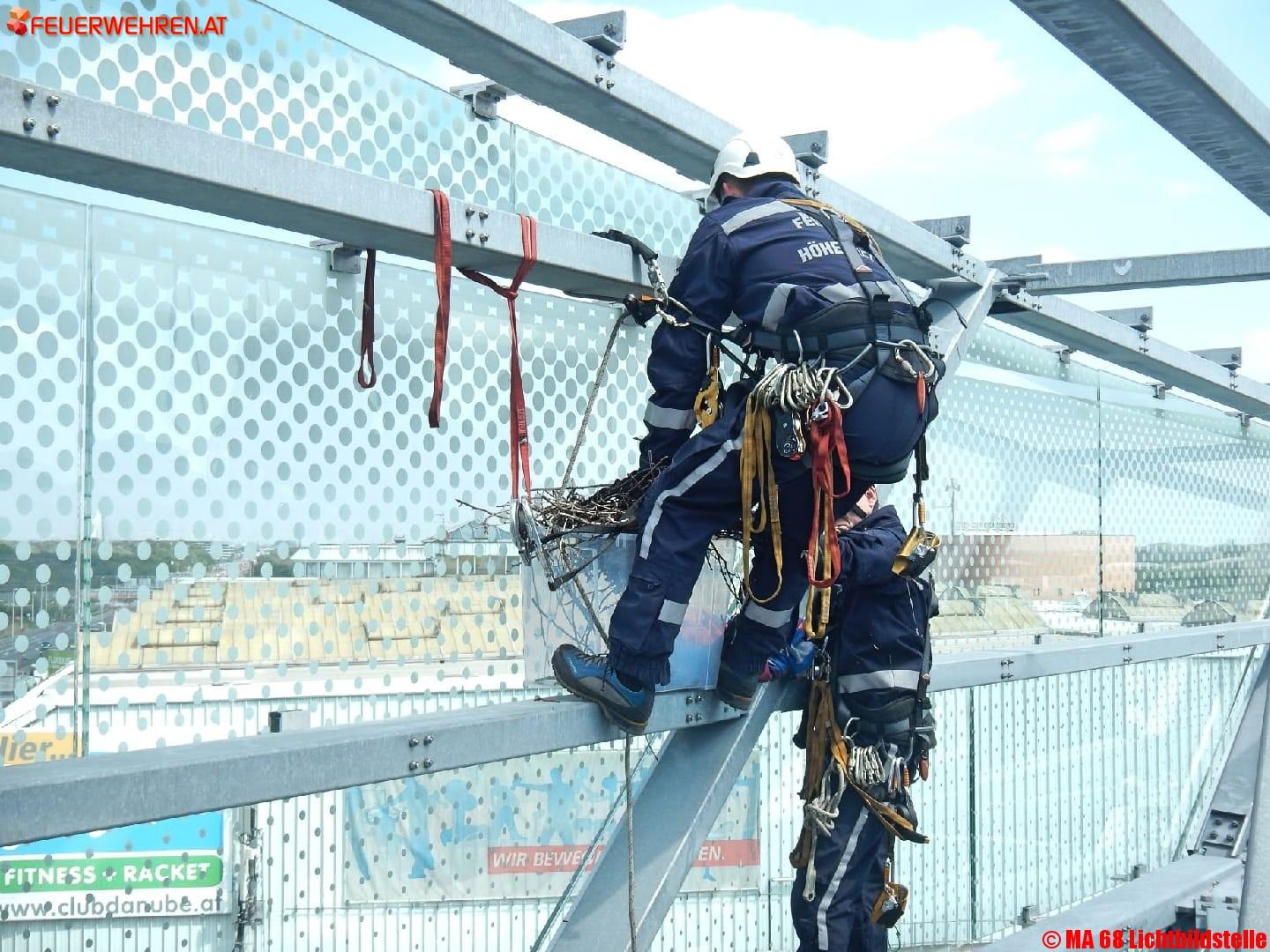 BF Wien: Höhenretter bergen Krähennest