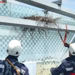 MA 68 Lichtbildstelle