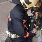 MA 68 Lichtbildstelle