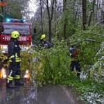 FF Andorf: Freimachen von Verkehrswegen wegen Schneedrucks