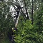 FF Bad Ischl: Schneedruckeinsatz der FW Reiterndorf 5 FW Reiterndorf