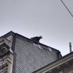 MA 68 Lichtbildstelle